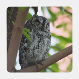 Adorno Metálico Oveja africana durmiendo en un árbol