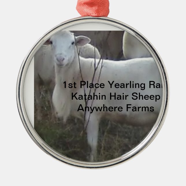 Adorno Metálico Ovejas del pelo de Katahin (Frente)