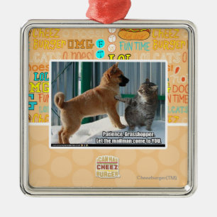 Adorno Metálico Paciencia, saltamontes