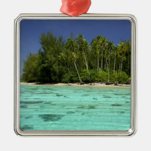 Adorno Metálico Pacífico Sur, Polinesia Francesa, Moorea 2