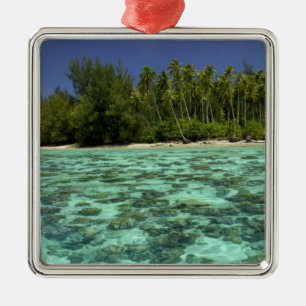 Adorno Metálico Pacífico Sur, Polinesia Francesa, Moorea 3