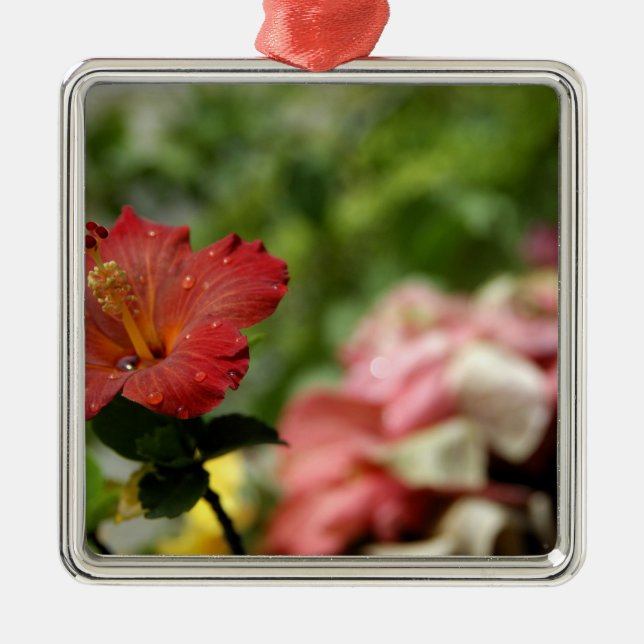 Adorno Metálico Pacífico Sur, Polinesia Francesa, Sociedad 2 (Frente)