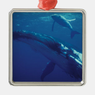 Adorno Metálico Pacífico Sur, Tonga. ballena jorobada y cría