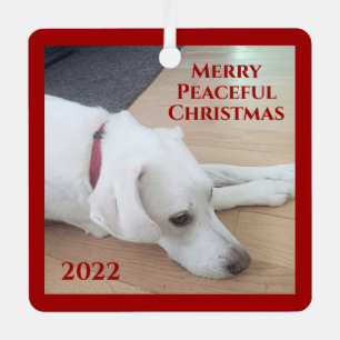 Adorno Metálico Pacíficos Navidades de Collar Rojo Perro Blanco