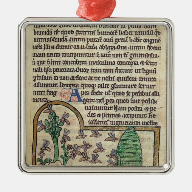 Adorno Metálico Página de Roy del texto con el ilustracion de (Frente)