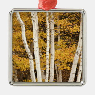 Adorno Metálico paisaje de otoño, Vermont, EE. UU.