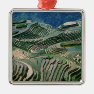 Adorno Metálico Paisaje de terrazas de arroz en la montaña,