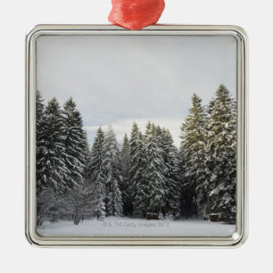 Adorno Metálico Paisaje del invierno cerca de Koenigsfeld, bosque
