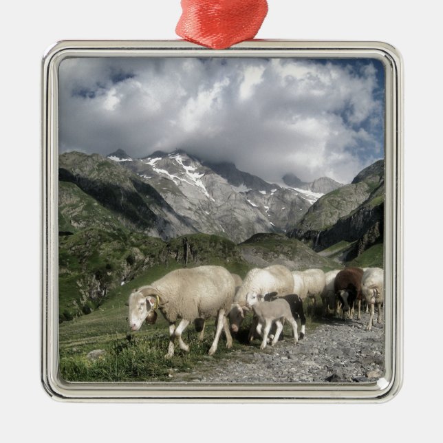 Adorno Metálico paisaje pirénico (Frente)