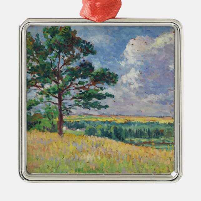 Adorno Metálico Paisaje rural alrededor de Méréville, Francia (Art (Frente)