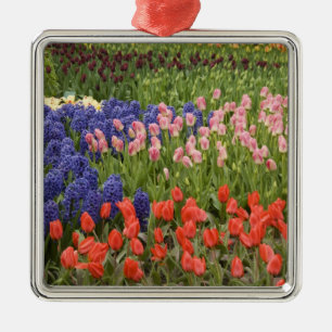 Adorno Metálico Países Bajos aka Holanda), Lisse. Keukenhof 8