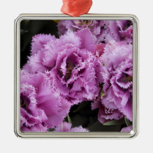 Adorno Metálico Países Bajos (alias Holanda), Lisse. Keukenhof 2