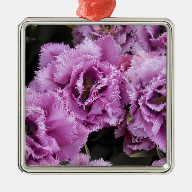 Adorno Metálico Países Bajos (alias Holanda), Lisse. Keukenhof 2 (Frente)