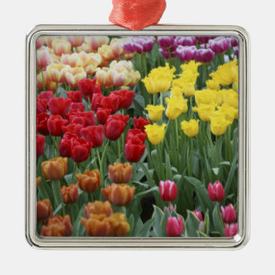 Adorno Metálico Países Bajos, Jardines Keukenhoff, tulipanes.