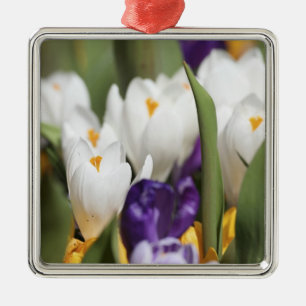 Adorno Metálico Países Bajos, Jardines Keukenhoff, Tulips.