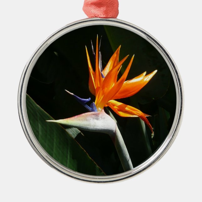 Adorno Metálico Pájaro del Naranja del paraíso Flor tropical (Frente)