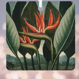 Adorno Metálico Pájaro vintage del Paraíso Templo Botánico de la F