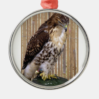 Adorno Metálico Pájaros salvajes: Halcón Rojo-Atado