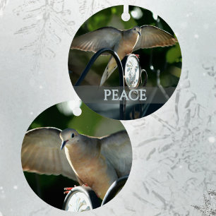 Adorno Metálico Paloma de la Paz Fotografía de Aves Personalizable