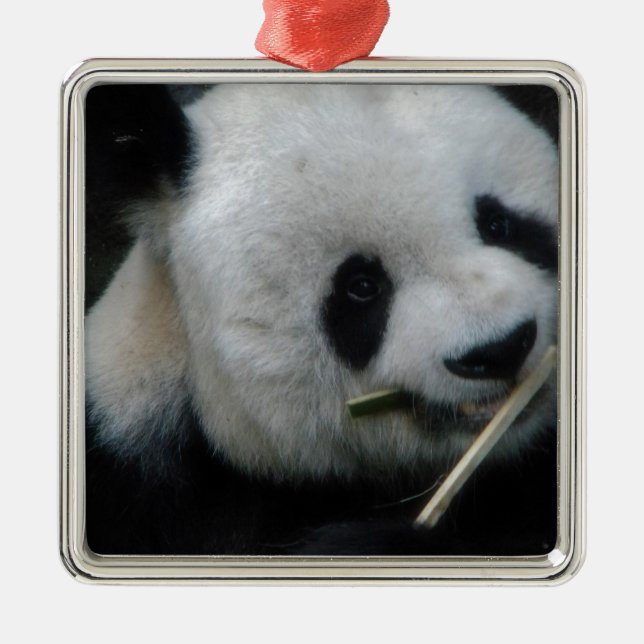 Adorno Metálico Panda (Frente)