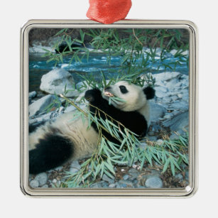 Adorno Metálico Panda que come el bambú por la orilla del río,