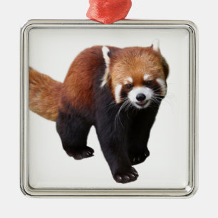 Adorno Metálico "Panda Rojo" の 優 良 製 品