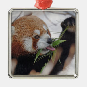 Adorno Metálico panda rojo animal impresión lindo