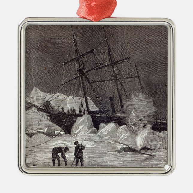 Adorno Metálico Pandora pellizcó en el hielo (Frente)