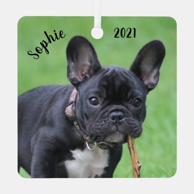 Adorno Metálico Papel de Bulldog francés juguetón personalizado  (Reverso )