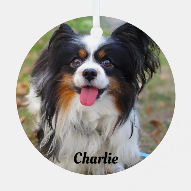 Adorno Metálico Papilino tricolor personalizado (Reverso )