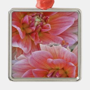 Adorno Metálico Par de flores de Dahlia, Dahlia spp. 	,