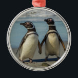 Adorno Metálico Par de pingüinos en la playa<br><div class="desc">Islas Falkland,  Isla de los Leones Marinos. Pingüinos magallánicos en la playa. | Galería Jaynes / DanitaDelimont.com</div>