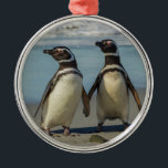 Adorno Metálico Par de pingüinos en la playa<br><div class="desc">Islas Falkland,  Isla de los Leones Marinos. Pingüinos magallánicos en la playa. | Galería Jaynes / DanitaDelimont.com</div>