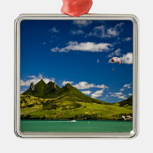 Adorno Metálico Paracaidismo en Vista del impresionante León (Frente)