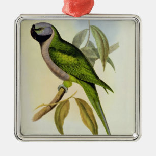 Adorno Metálico Parakeet: Palaeornis Derbianus, c.1850