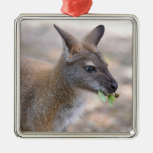 Adorno Metálico Pared cerrada de Bennet