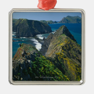 Adorno Metálico Parque nacional de las Islas del Canal, meridional