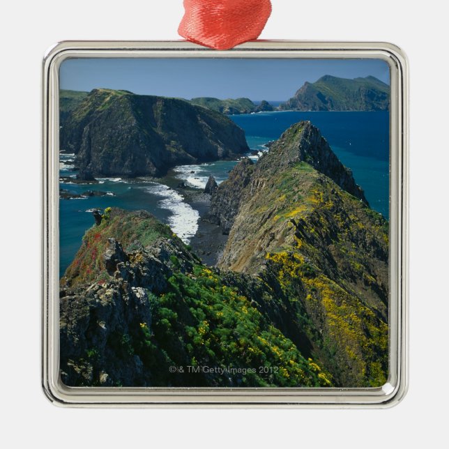 Adorno Metálico Parque nacional de las Islas del Canal, meridional (Frente)