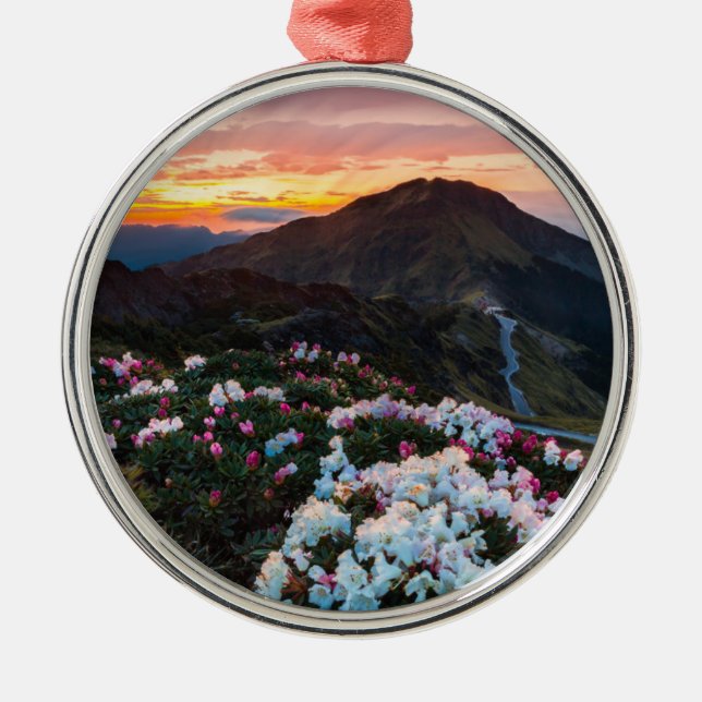 Adorno Metálico Parque nacional floreciente del rododendro el | (Frente)