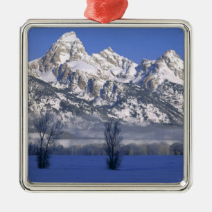Adorno Metálico PARQUE NACIONAL GRAND TETON, WYOMING. EE. UU. Nieb