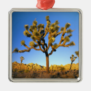 Adorno Metálico Parque Nacional Joshua Tree, California. EE.UU.