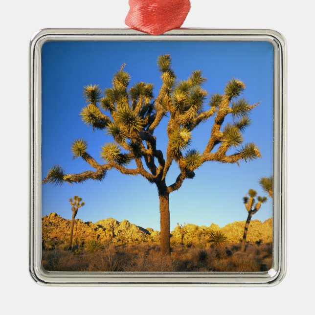 Adorno Metálico Parque Nacional Joshua Tree, California. EE.UU. (Frente)