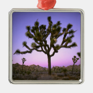 ADORNO METÁLICO PARQUE NACIONAL JOSHUA TREE, CALIFORNIA. EE.UU.