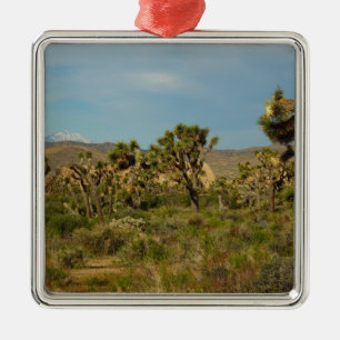 Adorno Metálico Parque Nacional Joshua Tree Paisaje Desértico
