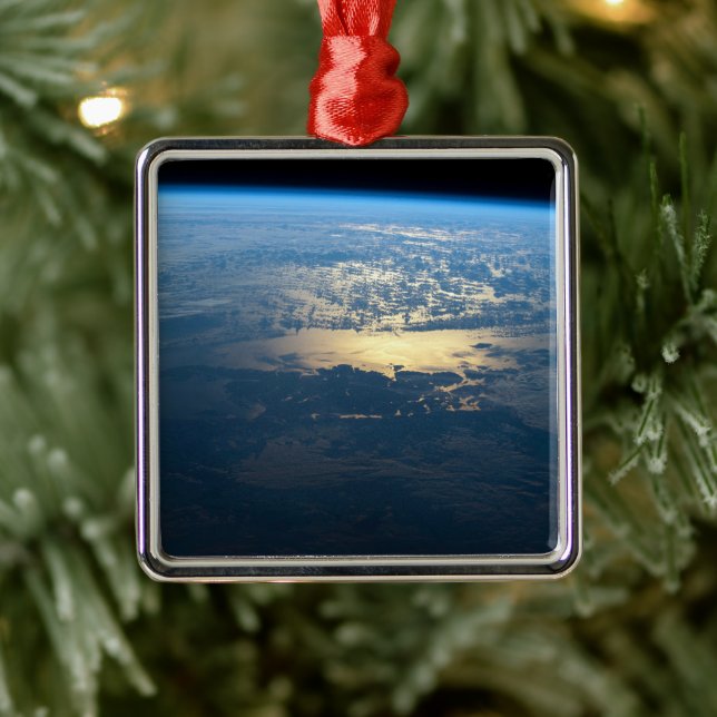 Adorno Metálico Parque nacional Laguna San Rafael, al sur de Chile (Árbol)