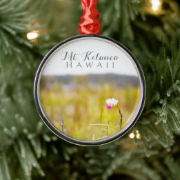 Adorno Metálico Parque nacional Volcanes de la Orquídea Tropical d