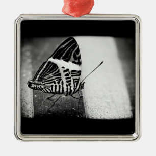 Adorno Metálico paso de mariposa