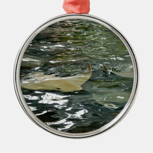 Adorno Metálico Pastinaca (Frente)