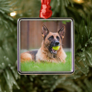 Adorno Metálico Pastor alemán con bola de tenis