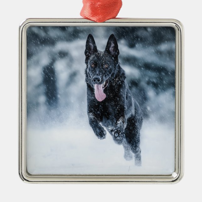 Adorno Metálico Pastor alemán negro con cubierta de Duvet de nieve (Frente)